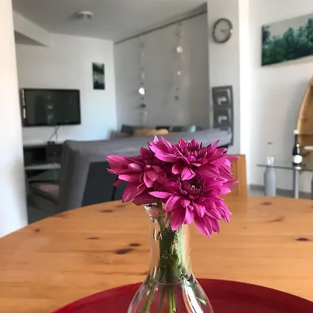 公寓 Beachfront Casa T2t Beach 厄尔梅达诺