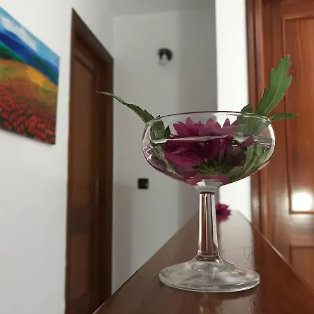 Beachfront Casa T2t Beach 公寓 厄尔梅达诺